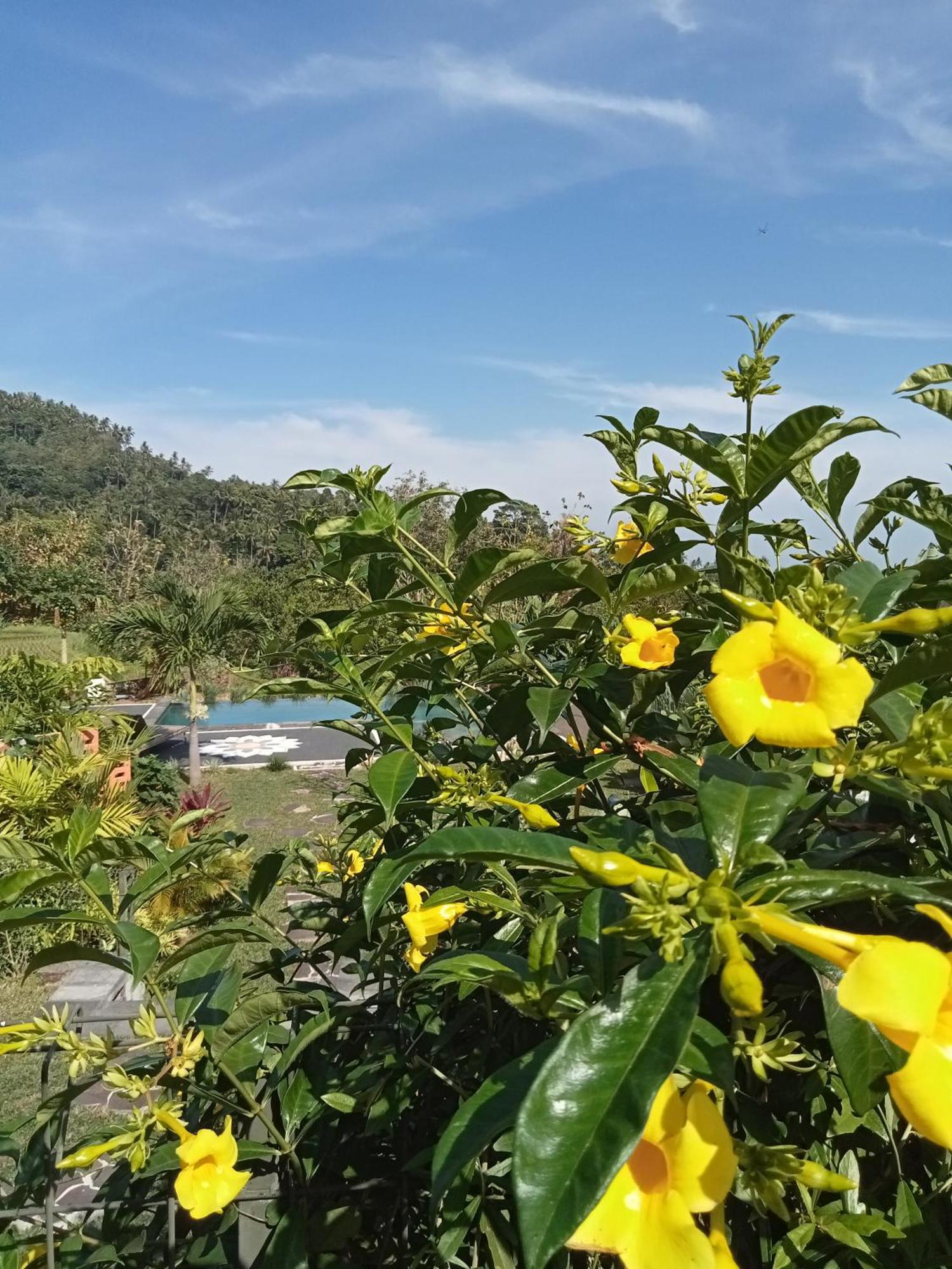 Villa Markisa Pakisan Sawan 외부 사진
